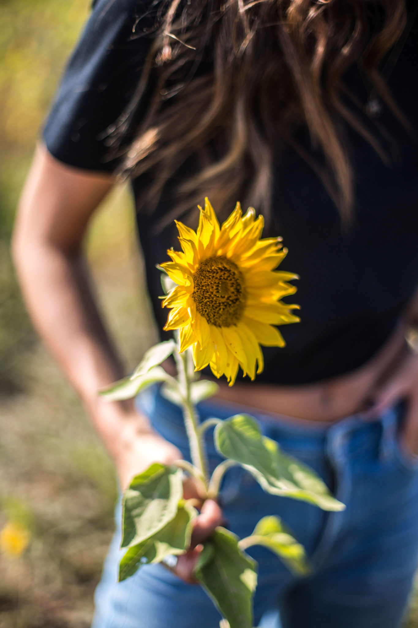 Transitioning into Fall